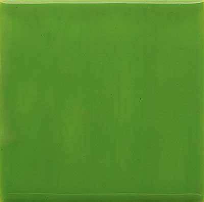 210960 Farbkörper Grasgrün