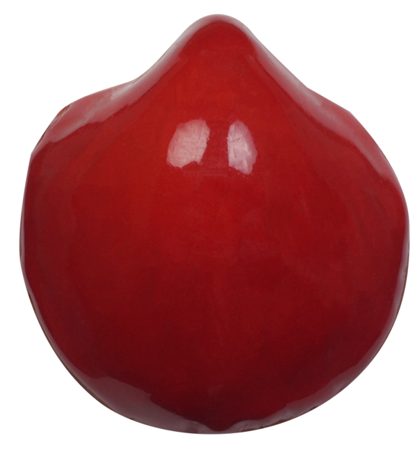 470130 Glasur Tomatenrot glzd. 1020-1080C°