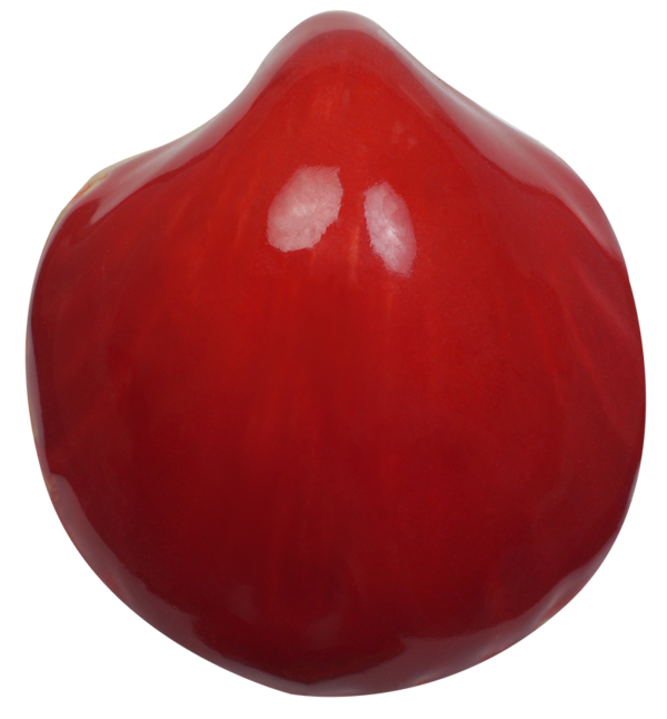 w730-1 Flüssigglasur, Tomatentrot, 1020-1080°C