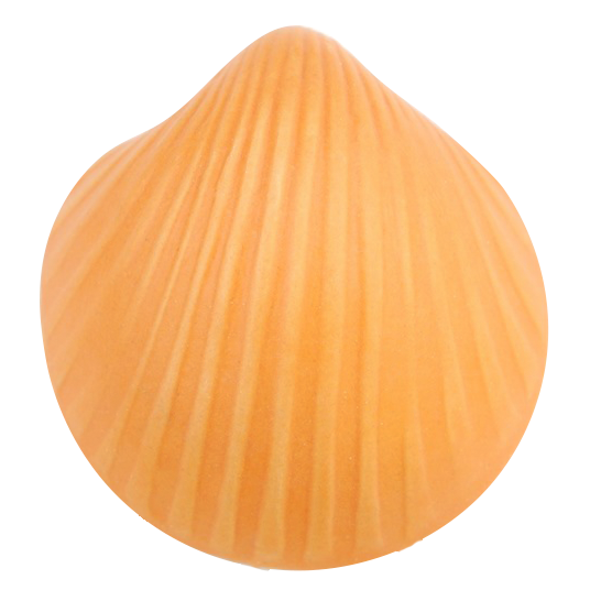 W1310-25 Edelengobe Orange,flüssig 1020-1180°C