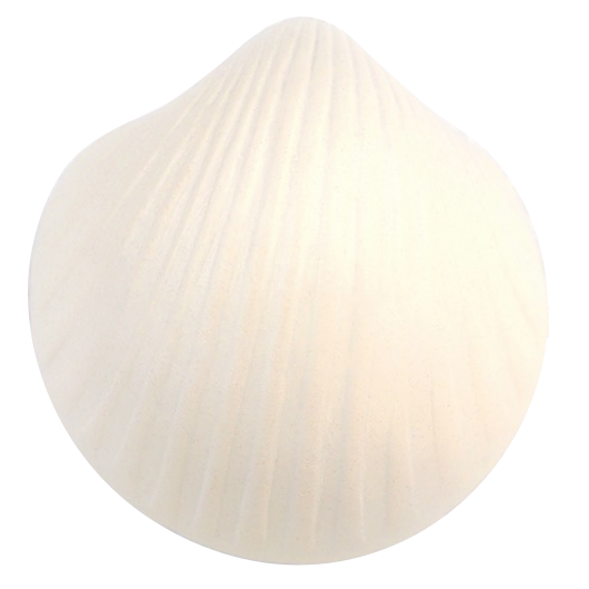 W1900-1 Edelengobe Weiß,flüssig 1020-1180°C