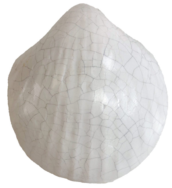 W996-1 Flüssigglasur Weiß matt Craquelé